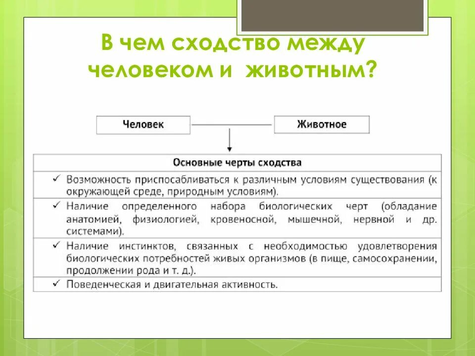 Социальные признаки человека. Сходство человека и животных. Сходсвтвочеловека и животного. Сходство между человеком и животным. Сходства и различия человека и животных.