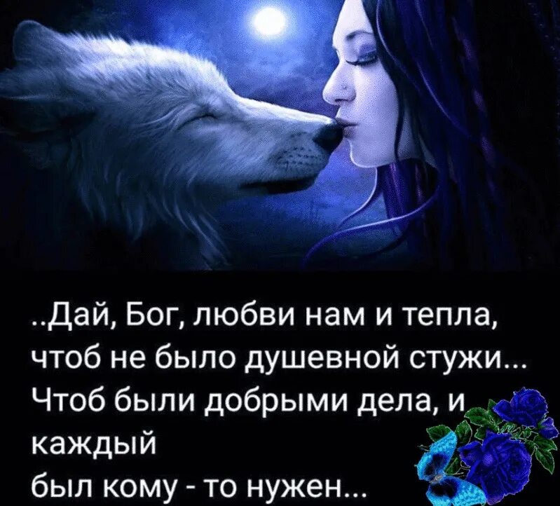 Давай другую спокойную. Высказывания о волках и любви. Цитаты волка про любовь. Волчица цитаты. Статусы с волками со смыслом.