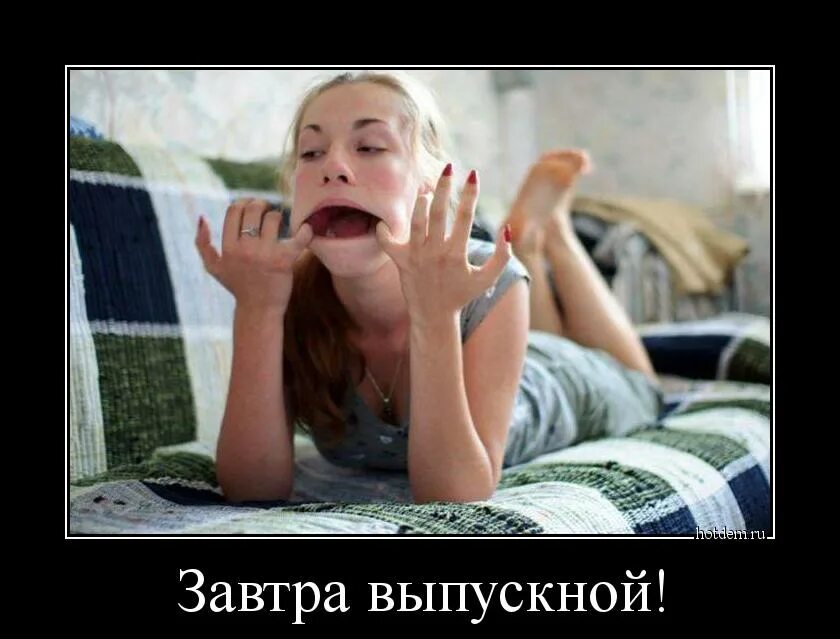 Скоро сессия. Мечтаю о члене. Демотиватор. Мечтаю о члене. Мечта прикол.