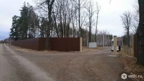 Равновесие лесная ул 26 село ямное отзывы