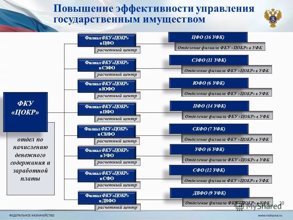 Цокр казначейство