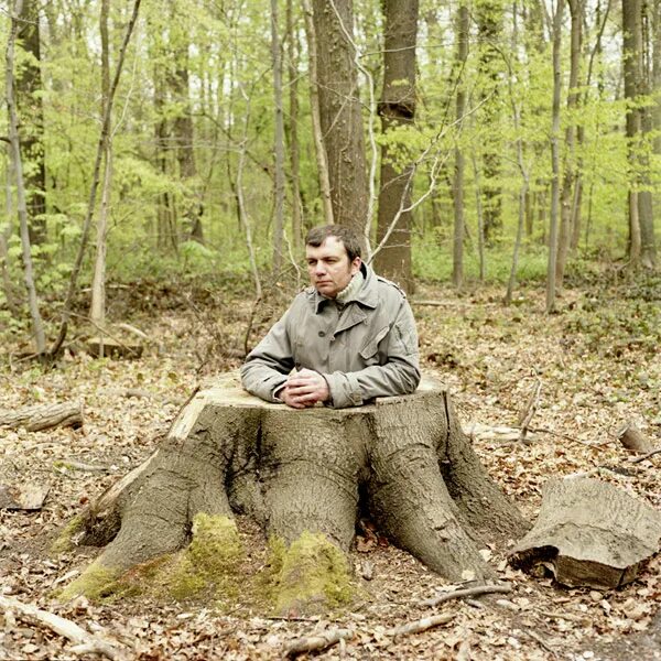 Девочка сидит на пне. Человек на пеньке. Человек сидит на пне. Пень для кошки. Сидит на пеньке.