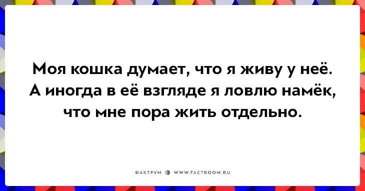 Поймав мой взгляд. Поймав мой взгляд. Вампир пацан. Поймав мой взгляд. Поймав мой взгляд.