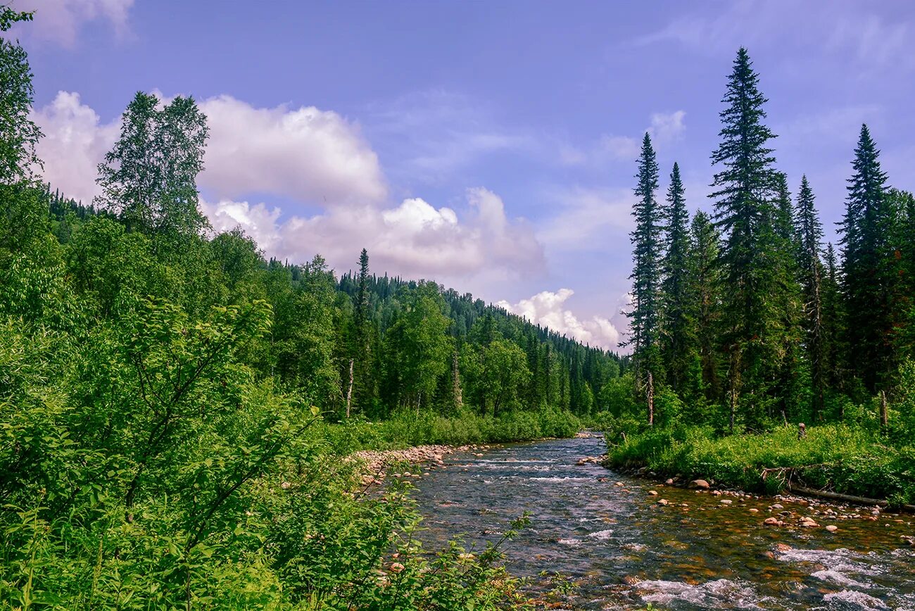 Кузбасс фото. Кемеровская область Кузбасс природа. Красота природы Кузбасса. Природа Кузбасса фото. Природа Кузбасса референс.