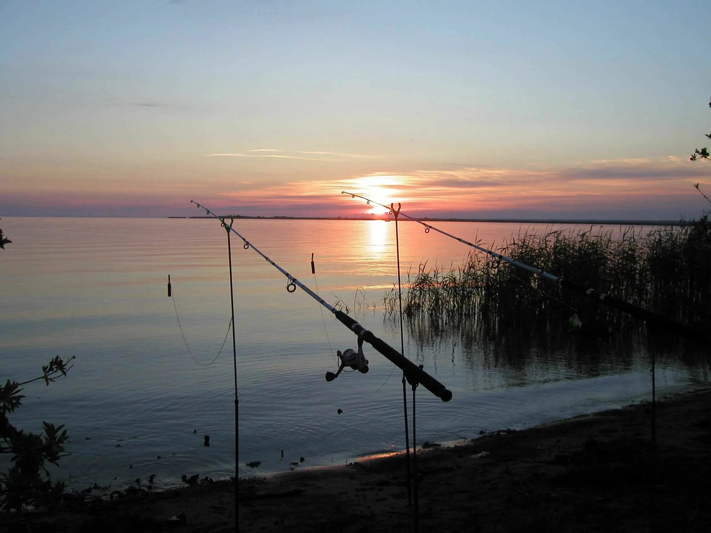 Ладога озеро рыбалка. Рыбалка на Ладожском озере. Рыбалка на Ладожском озере летом. Рыбалка, Санкт-Петербург Ладога. Лов рыбы на озерах