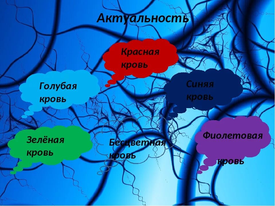 Откуда выражение голубых кровей