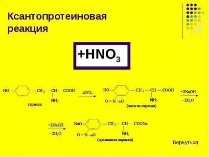 Яичный белок азотная кислота