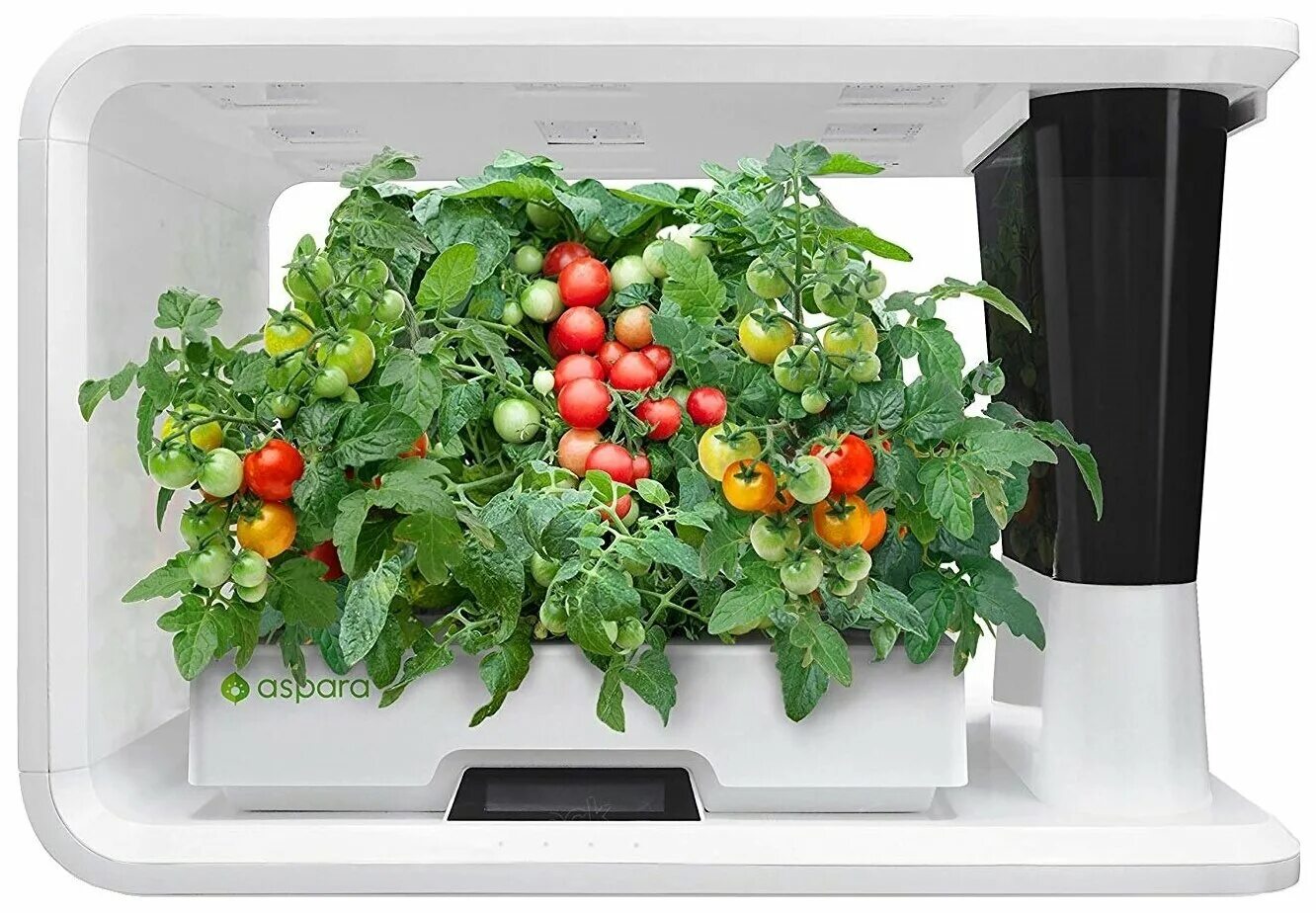 Click and grow smart garden. умный сад red evolution отзывы. умный модуль smart garden. умный сад для выращивания растений. Ledvance indoor garden kit 450 вт.