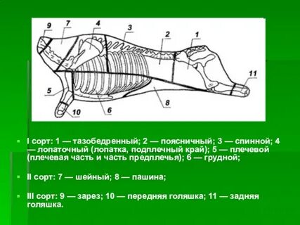 Спинной отруб свинина