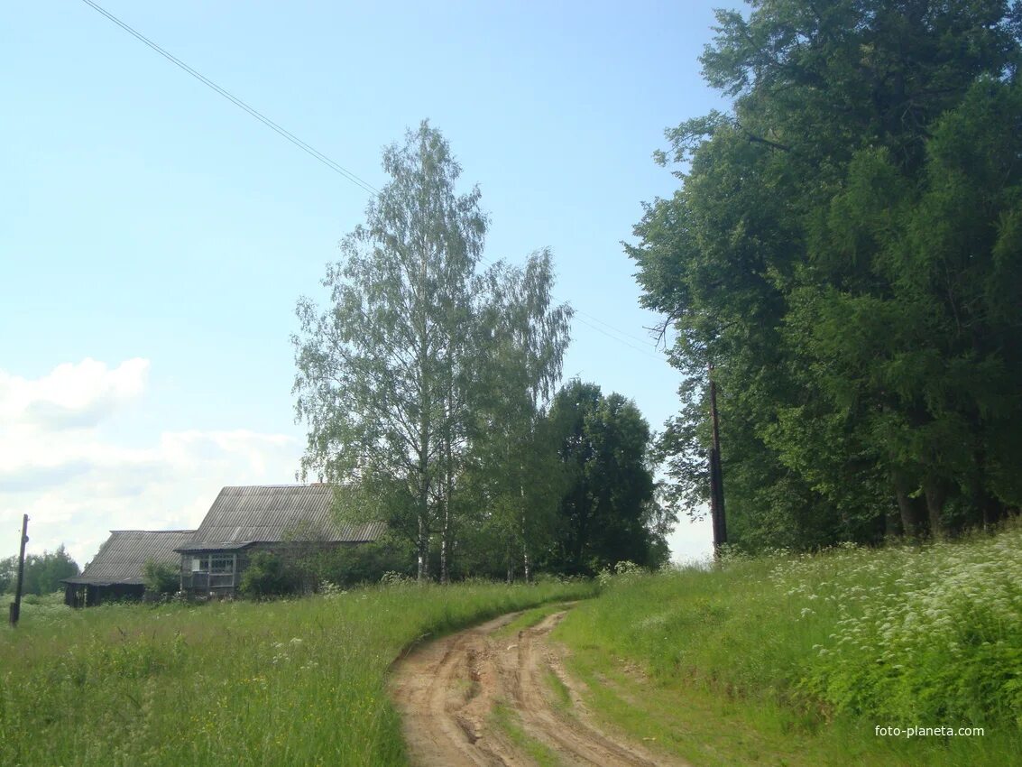 Рогалево ордынский. Рогалево новосибирская область. деревня лесниково.
