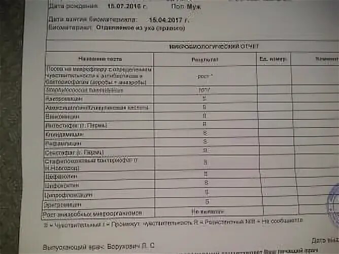 Streptococcus viridans зев норма. Стрептококк оралис норма в зеве. стрептококк в мазке из зева у взрослого. показатели стафилококка в мазке из зева. стрептококк норма в мазке.