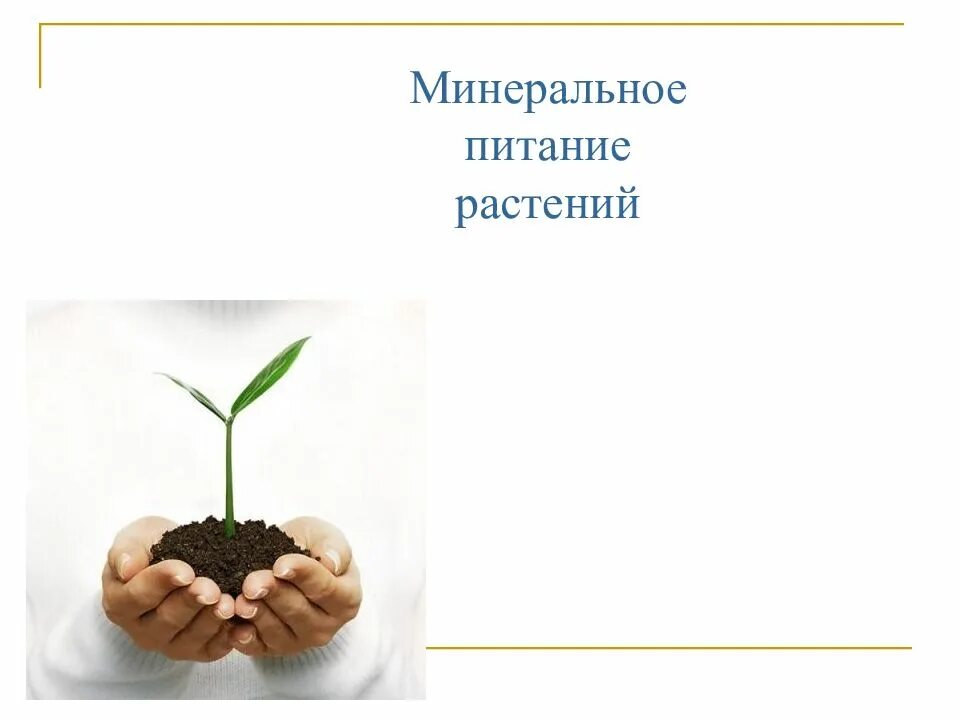 Питание растений. Минеральное питание. Минеральное питание растений схема. Почвенное питание растений.