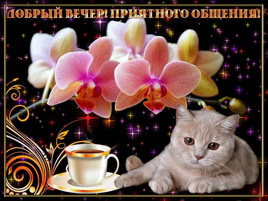 Добрых вечерочков