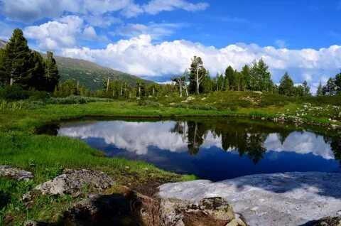 Природа кузбасса