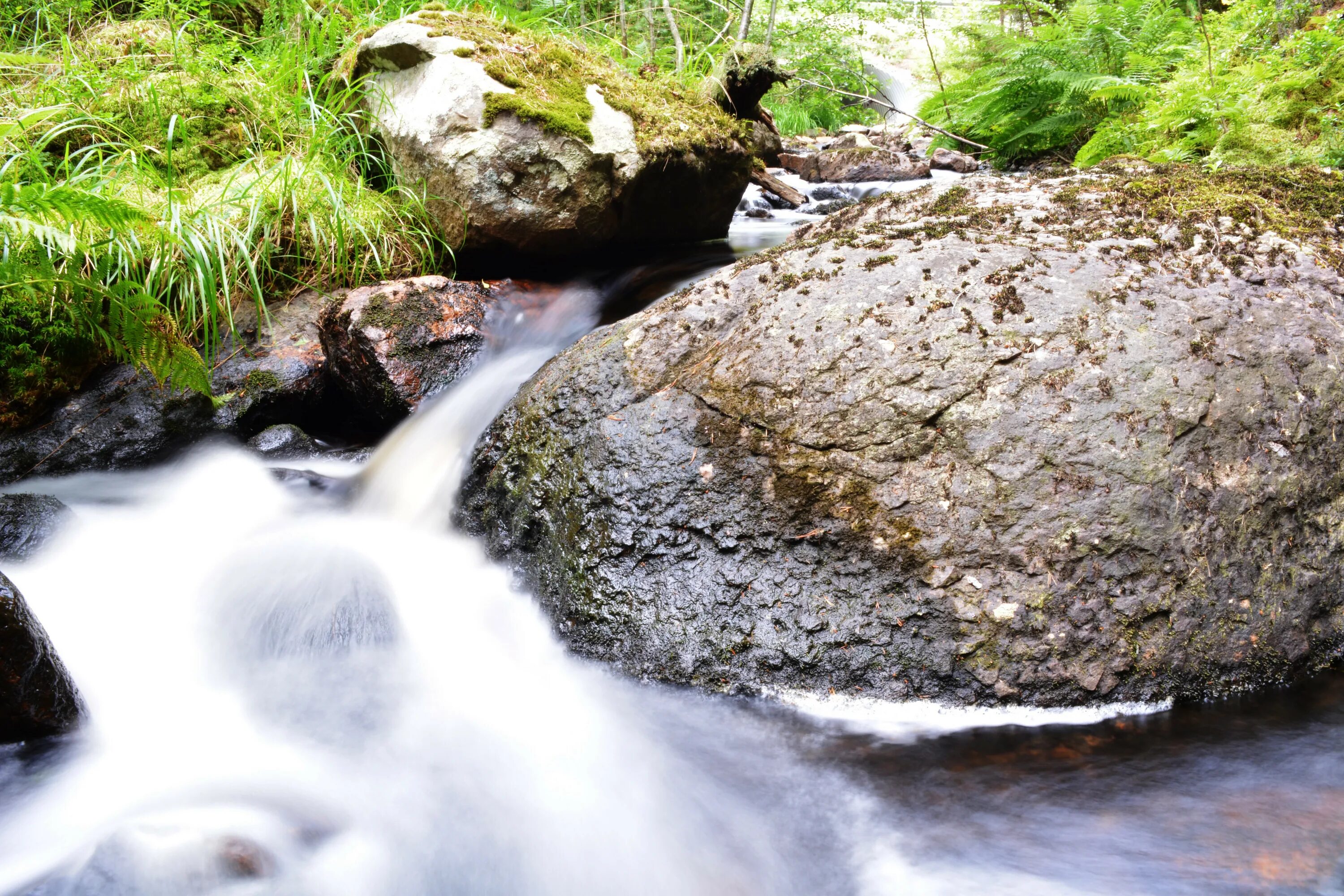 Ручей Enfield Creek. Ручей с камнями. Ручеек с камнями. Вода ручей.