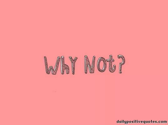 Why not available. Обои why not. why not me?. надпись why not. why not аватарка.