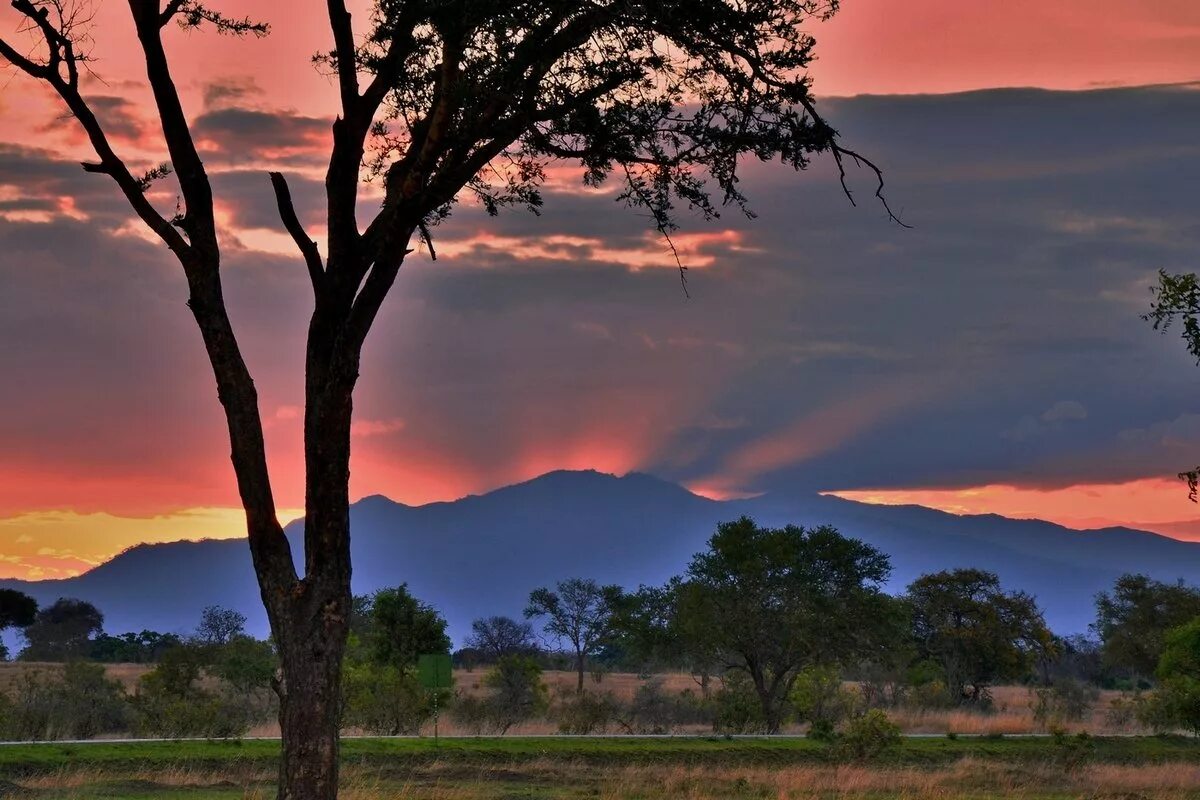 под небом африки