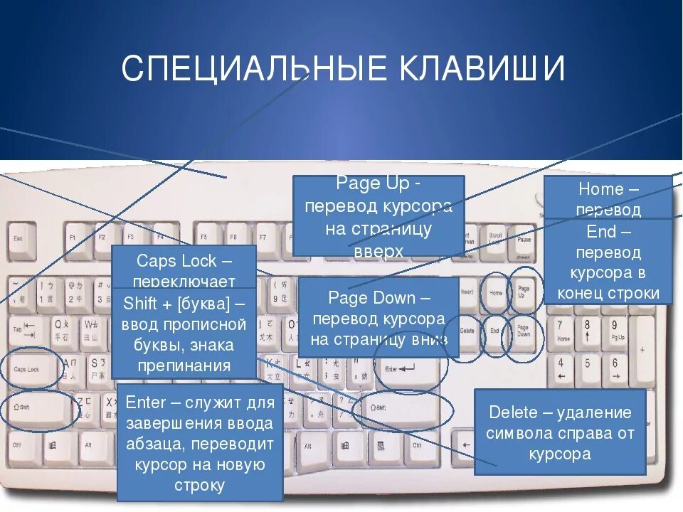 Какими клавишами найти нужные слова. Специальные клавиши на клавиатуре. Специальные клавиши на компьютере. Какие специальные клавиши на клавиатуре. Специальные кнопки на клавиатуре.