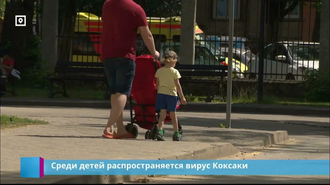 Вирус коксаки в турции 2024 фото Вирус Коксаки. Доктор Зубрева Дзен