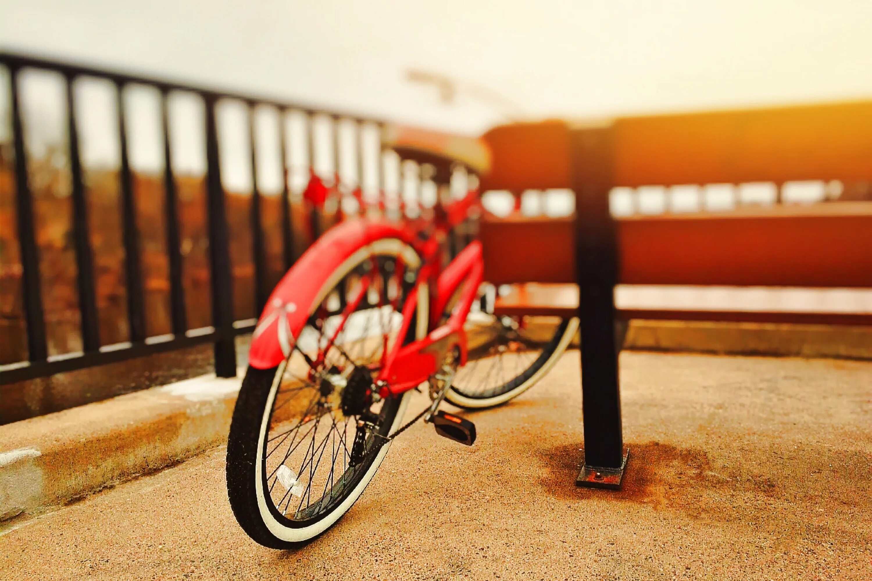 New red bicycle