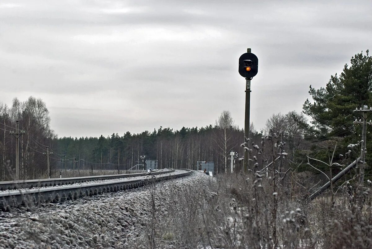 1). светофор олонец. светофор олонец. светофор олонец. потухшие светофоры.