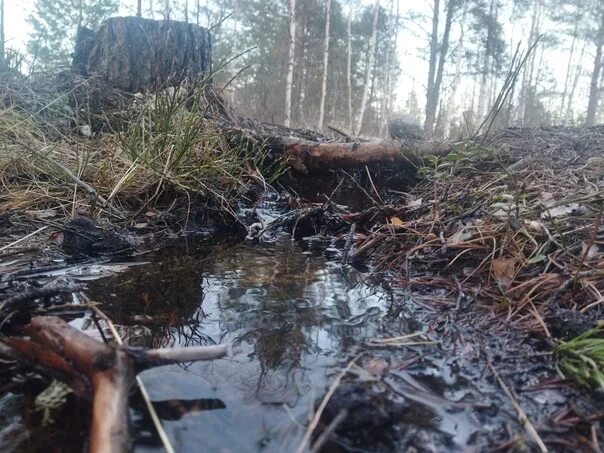 Подслушано в кеми. Подслушано в кеми. Подслушано кемь карелия. Подслушано в кеми. Кемский мужской монастырь.