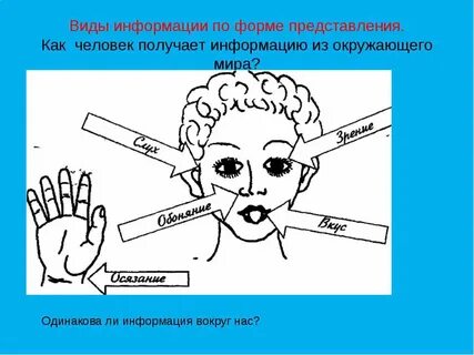 Какими фактами можно проиллюстрировать