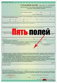 Когда менять полис