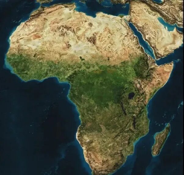 Как выглядит африка 2025 south africa Путешествие в африку, Южная африка и Природа