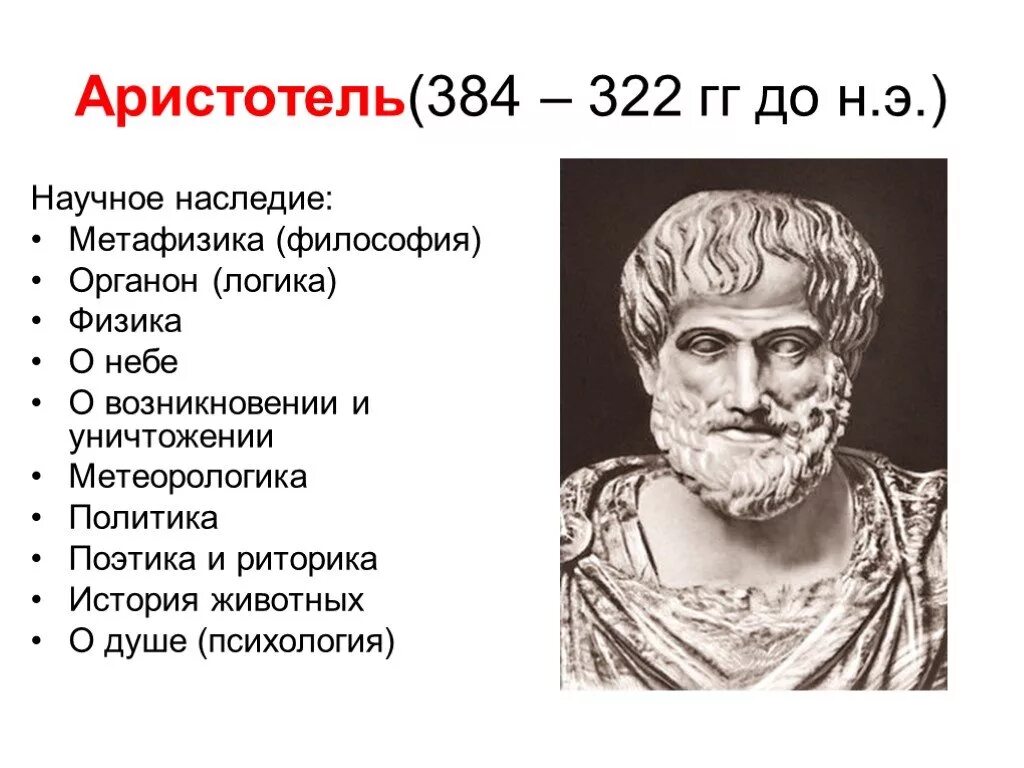 Аристотель история. Аристотель презентация. Аристотель суть работы. Аристотель общественное животное. Аристотель достижения в биологии.