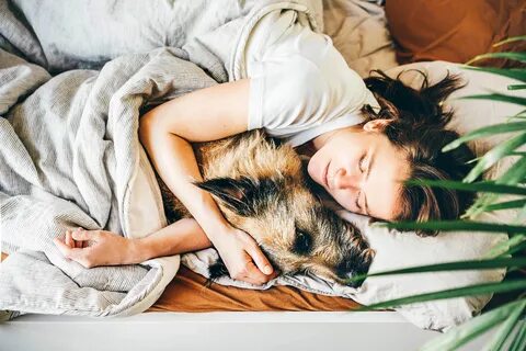 A survey shows American pet owners prefer to sleep in bed with their animal...
