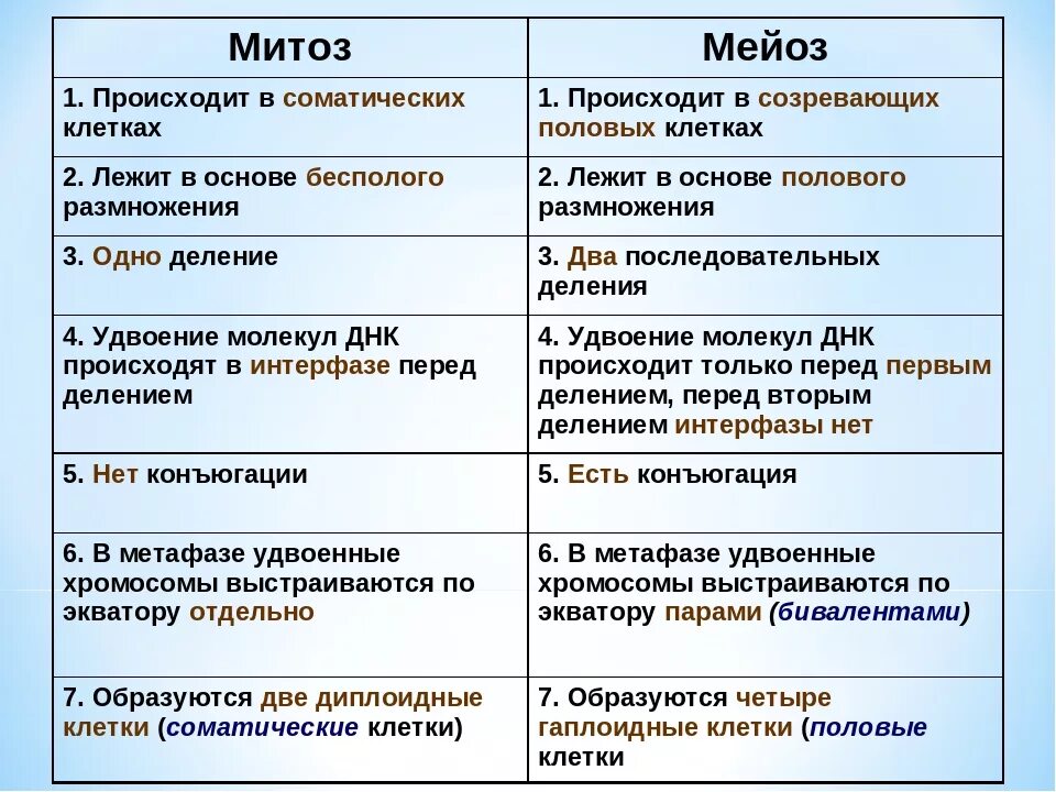 Сравнение митоза и мейоза таблица. Митоз и мейоз различия и сходства 10 класс. Отличие мейоза от митоза кратко. Деление клетки митоз и мейоз таблица. Сравнительная таблица митоза и мейоза 10 класс.