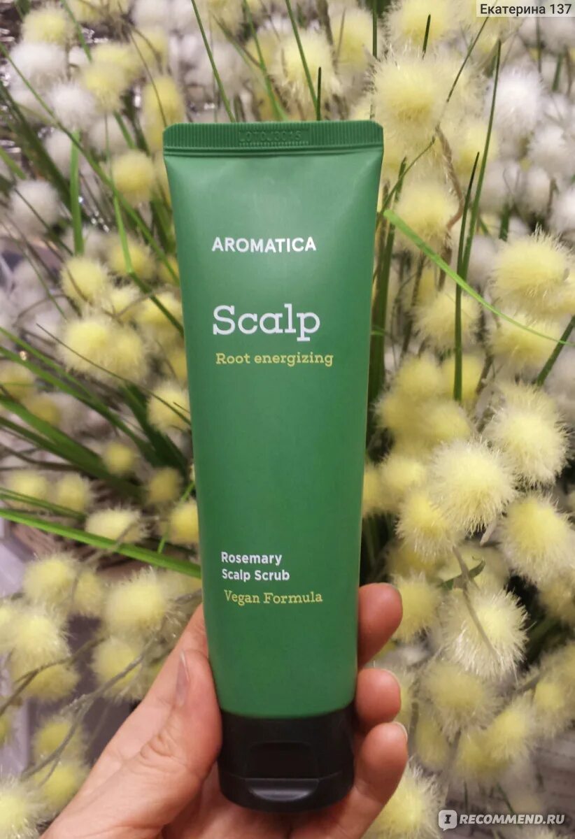 Scalp scrub. Aromatica Rosemary Scalp Scrub 165g. Скраб для кожи головы aromatica Rosemary. Aromatica скраб для кожи головы Rosemary Scalp Scrub. АРМ скраб для кожи головы Rosemary Scalp Scrub 165g.