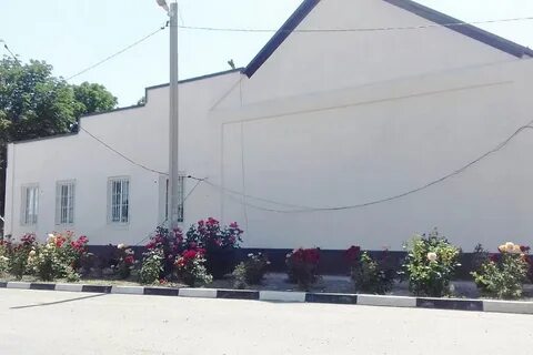Погода в лосево кавказский