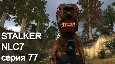 Stalkers 7
