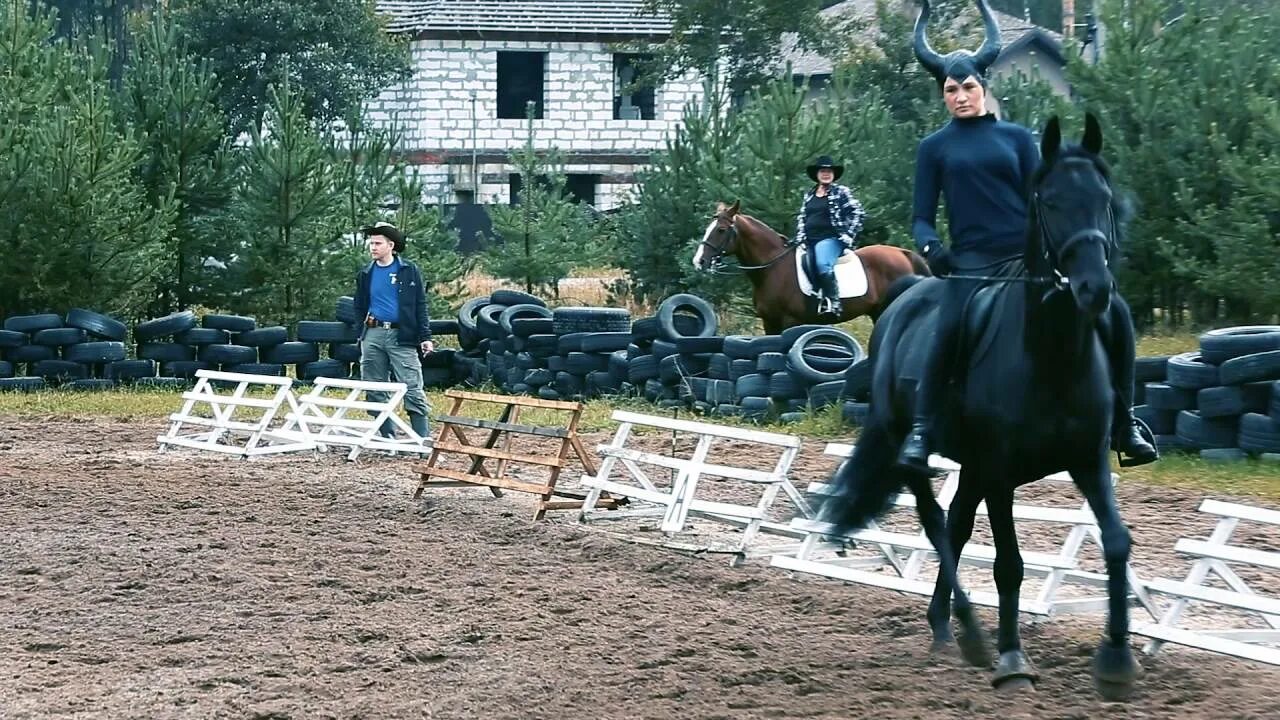 Динское хуторское казачье общество. Цитата про гнедых лошадей меринов. Хронос группа. Виды конного спорта. Песня кобыла.