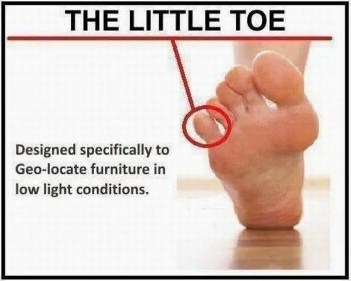 Lesser toe. Specifically. where was born lil toe.