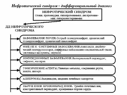 Нефротический синдром и нефротический синдром отличия
