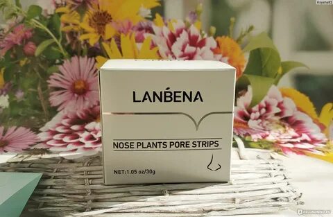 Lanbena plants pore strips
