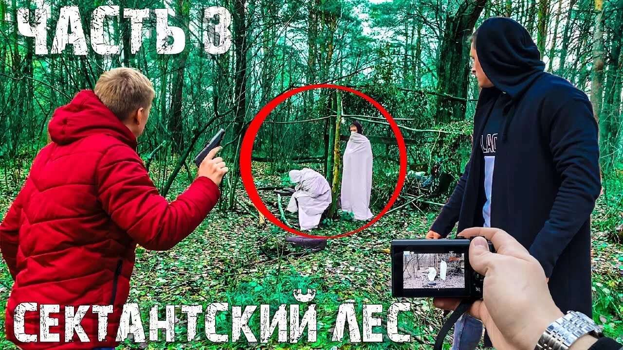 Камера сняла в лесу