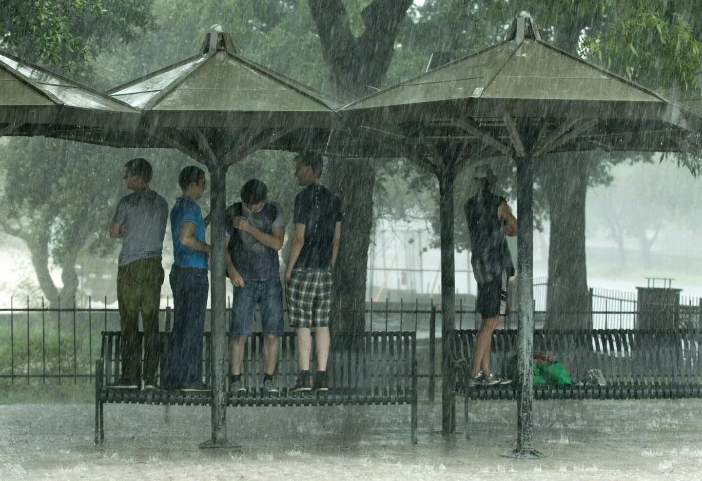 Seeking shelter. Лошади. $werve phonk. Seeking shelter. Seeking shelter.