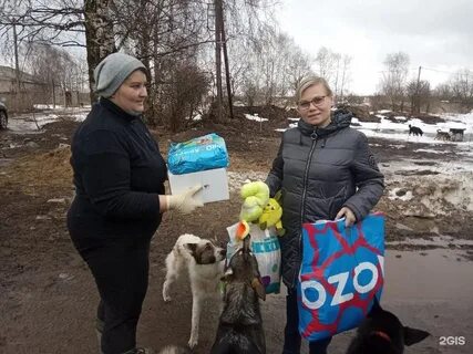 Приют право на жизнь кострома
