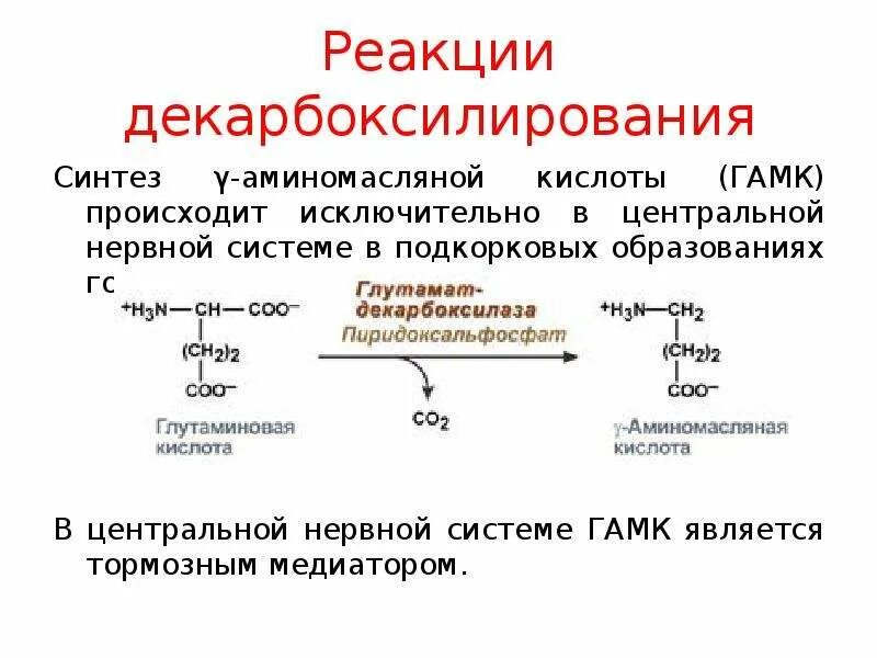 Механизм аминокислот. Декарбоксилирование аминокислот гамк. декарбоксилирование аминокислот биохимия схема. механизм реакции декарбоксилирования аминокислот. реакция декарбоксилирования аминокислот.