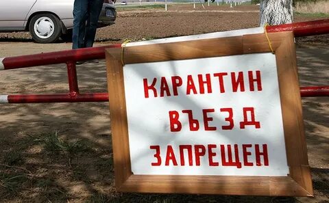 Карантин по бешенству в москве 2024