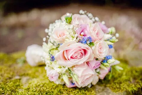 Flowers can be
