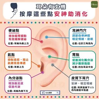 耳 朵 有 玄 機 每 一 個 點 都 是 那 麼 神 奇 Heho 健 康.
