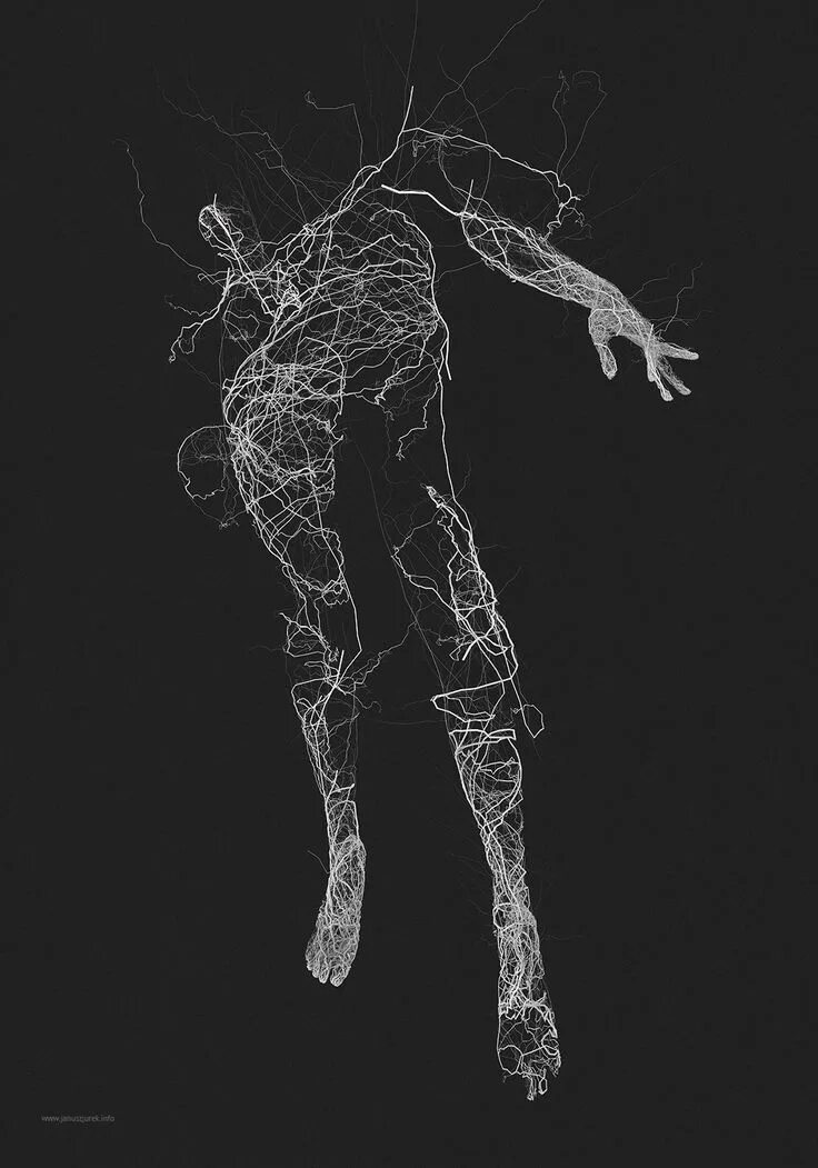 Генеративное искусство. Януш Юрек. Тело человека абстракция. Тело Графика. Линии тела Эстетика.