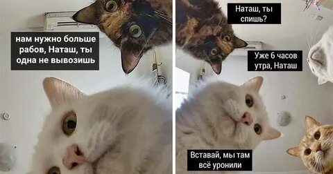 Да не я уже все