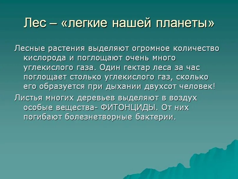 Леса легкие нашей планеты. Лес легкие нашей планеты. Зона лесов. Растения легкие нашей планеты.