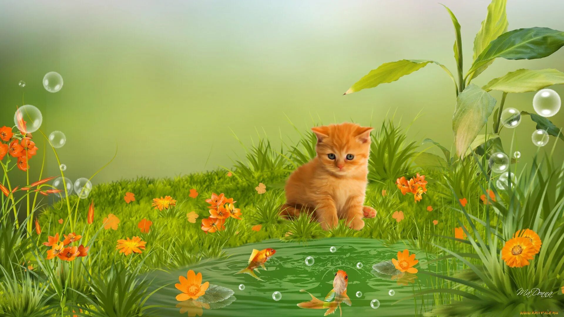 Фон рыжий кот. Фон животные. фон с котятами. котенок на полянке. детские фоны с животными.